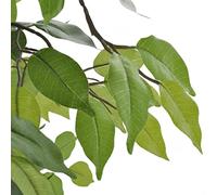 Artificial Gnome Ficus with Pot 60 cm, 420 Leaves, Easy-Care Artificial Plant Made of Plastic and Polyester for Living Room, Office, Balcony, Indoor and Outdoor Decoration