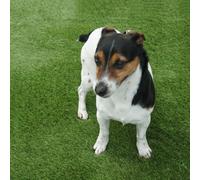 Artificial Grass GB English Garden 30mm Artificial Grass in Green | Size: 4000mm x 7000mm Artificial Grass GB Green 4000mm x 7000mm