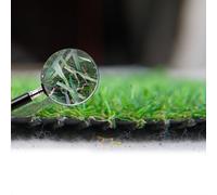 Artificial Grass GB Leeds 18mm Artificial Grass in Green | Size: 4000mm x 9000mm Artificial Grass GB Green 4000mm x 9000mm