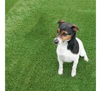 Artificial Grass GB Shamrock 40mm Artificial Grass in Green | Size: 4000mm x 9000mm Artificial Grass GB Green 4000mm x 9000mm