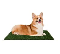 Artificial Grass Puppy Pee Pad for Dogs and Small Pets - 20x25 Reusable 3-Layer Training Potty Pad with Tray - Dog Housebreaking Supplies by PETMAKER,Green