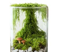 Artificial Green Moss - 300g Artificial Moss for Crafts | Realistic Artificial Green for Terrarium, Planter, Vase, Succulents, Home, Wall Decoration, Christmas, Wedding, Holiday