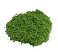 Artificial Green Moss, Craft Moss Decoration, Bag for Home Planter Display, Realistic Natural Look, DIY Craft Materials, Seasonal Table Centerpieces and Holiday Projects