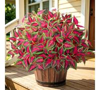 Artificial Greenery Plants Outdoor 4PCS Faux Coleus Plants Fake Purple Perilla Branches UV Resistant Fake Plants Artificial Greenery Stems Shrub for Outside Indoor Garden Patio Front Porch Decor