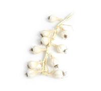 Artificial Hanging Garlic 50Cm - White