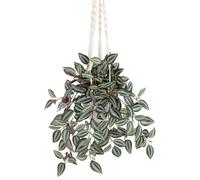 Artificial Hanging Plants Fake Trailing Plants with Hemp Ropes String of Plants Decorative Houseplant Faux Tradescantia Zebrina Plant for Home Wall Office Bathroom Kitchen Indoor Outdoor Decoration
