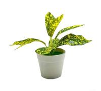 Artificial Hanging Potted Plants, 13x17x6 cm, Fake Green Leaves Decor, Low-Maintenance Nordic Style, No Watering or Sunlight Needed, for Home Office Hotel(4)