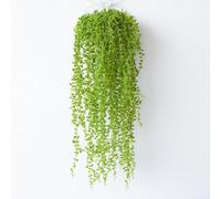 Artificial Hanging Succulent Plant, 80Cm Green Plastic String Of Tears For Home Decoration, Weddings And Photography Props