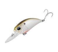 Artificial Hard Baits Long Casting Lures for Trout Fishing Baits Lures Crankbait 6.5cm 15g Swimbait Anglers Choices Lure