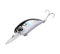 Artificial Hard Baits Long Castingles Earl Crankbait Wobbler 6.5cm 15g Swimbait for Trout Fishing Baits