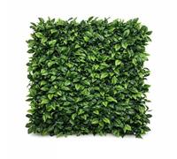 Artificial Hedge Panels 50x50cm - 24 Pack (Covers Approx. 6m²) UV Resistant Ficus Green Wall Tiles for Garden Fence, Balcony Privacy & Event Backdrop