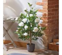 Artificial House Plant 80cm White Rose Trees Indoor Potted Plant Marco Paul Off White One Size