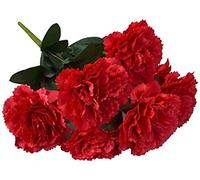 Artificial Hydrangea Flower Carnation Bunch Simulation Red Carnation Bouquet for photography wedding home decor (red) gardening hand toolsPractical and Deft