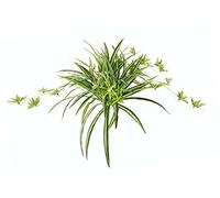 Artificial Indoor Plant Green Lily Chlorophytum Comosum Water Lily Spider Plant Spider Lily Hanging Plant Artificial Plant Hanging Plastic Plant Fake Wedding Decoration Silk Plant Silk Flower