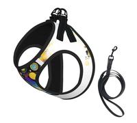 Artificial Intelligence Brain Print Dog Harness with Leash Set with Thickened Padded Vest for Extra-Small/Small Medium Dogs