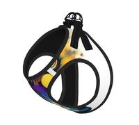 Artificial Intelligence Brain Print Pet Leash Vest,For Small Dogs,Adjustable And Comfortable Cat Puppy Essentials