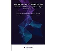 Artificial Intelligence Law - Between Sectoral Rules and Comprehensive Regime - Comparative Law