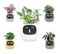 Artificial intelligence smart with automatic watering system, plant humidity sensor and sunlight detection, pet-friendly garden for succulents, cats dogs (white)