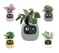 Artificial intelligence smart with automatic watering system, plant humidity sensor and sunlight detection, pet-friendly garden for succulents, cats dogs (green)