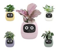 Artificial intelligence smart with automatic watering system, plant humidity sensor and sunlight detection, pet-friendly garden for succulents, cats dogs (Pink)