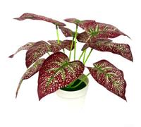 Artificial Ivy Plant 25cm Realistic Silk Leaves Indoor(B) | Lifelike silk cloth texture, detailed leaf veins, 25x32x9cm size, fits small pots, indoor office use