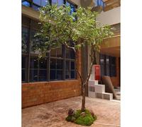 Artificial Large Elm & Jujube Tree with Phoenix Leaves - Faux Greenery Plant for Indoor Living Room Decor, Spring Event Landscape Ornament(G2m)