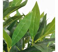 Artificial Laurel Tree 125 cm with Real Wood Trunk and Plastic Pot, Green Artificial Plant for Living Room, Office, Balcony, Easy-Care Decoration, Suitable for Indoor and Outdoor Use