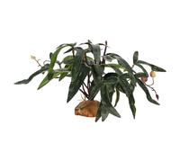 Artificial Leaves - Fake Plants | Fake Vines, Fake Plants for Reptiles | Fake Vegetation Water Decoration | Turtle Tank Greenery Decor - for Freshwater Aquatic Fish Turtle Bet