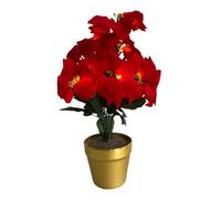 Artificial LED Red Poinsettia Plant in Gold Pot - Faux Fake Realistic Flower Floral Home Christmas Xmas Festive Decoration with 10 Battery Powered Warm White Lights - H35 x 28cm Diameter