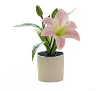 Artificial Lily Bonsai Flowers in Plastic Pot for Home and Office Decoration, Suitable for Decorating Shops, Restaurants, Yards, Parties, and Weddings (light pink)