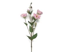 Artificial Lisianthus Flower Spray x 70cm - Wedding Bouquet Table Centrepiece (Pink)
