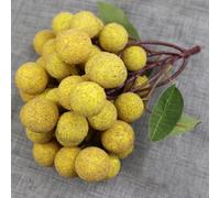 Artificial Longan Fruit Cluster for Food Styling Retail Display Home Decor Photography Setup and Visual Merchandising