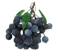 Artificial Longan Lychee Blueberry Cherries Decorative Fruit Set Realistic Looking Plastic Foam Fruits Kitchen Dining Room Home Decor Arrangement Props Display(B)