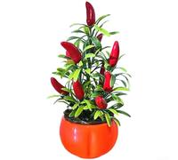 Artificial Lucky Fruit Tree Plant 19cm Realistic Decor(C)