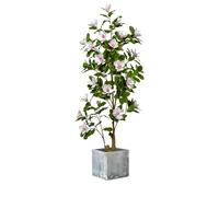 Artificial Magnolia Tree - Faux Silk Plant with Realistic Leaves & Flowers for Home Office Decor, Low Maintenance & Durable Design