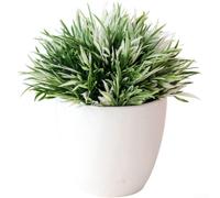 Artificial Maidenhair for fern Bonsai 13cm Realistic Green Plant(White) | Compact 13x14cm size, fits desks shelves, lightweight 55g, easy move, purple white pink options