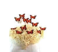 Artificial Monarch Butterflies on Wire Stems. Packs of 12 size3inch