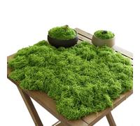 Artificial Moss 100g Dried Plants for Outdoor Pots - Faux Green Decorative Moss for Home, Garden, Crafts and Model Making (Light Green)
