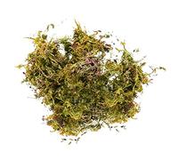 Artificial Moss Fake Faux Fresh Green Moss Decorative Fake Bulk Moss for Flower Plant Garden Lawn Crafts Decoration 50g/pack
