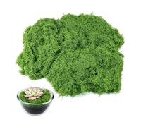 Artificial Moss,Fake Mosses,Artificial Mosses for Indoor Plant Pots Craft Dried-Moss Planters Green Decorative Kits for Crafting,Potted Plants & Garden Arrangements Decorate,Diy Bulk Faux-Plant(100g)