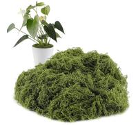 Artificial Moss for Crafts - 300g Artificial Filamentous Moss Green Lichen Plant | Realistic Fake Vegetation and Fake Green Lichen for Terrariums, , Pots, Succulents,