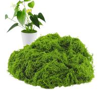 Artificial Moss - Green Craft Material 300g Miniature Landscape | Fake Moss for Bonsai Potted Plants Terrariums Home Decor Gardens Model Making DIY Crafts