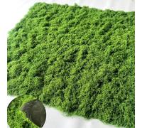 Artificial Moss Mat 1m x 1m, Realistic Green Fake Moss with Natural Texture, Soft & Flexible Decorative Moss for Mini Landscapes, Bonsai, Terrariums, DIY Crafts and Home Decoration (Light colors)