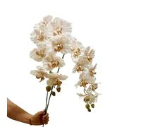 Artificial Moth Orchid Flowers, Set of 2, 9 Blooms Each,Long Stem Faux Orchid for Vase (Brown)