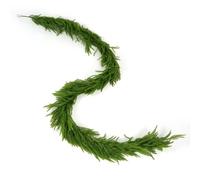 Artificial Norfolk Pine Garlands, Realistic Pine Garland, Green Artificial Greenery Garland for Table, Mantle, Wall, Indoor, Winter Christmas Decorations, Holiday Party Home Decoration (1, 6FT)