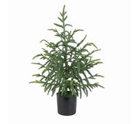 Artificial Norfolk potted pine tree，60 cm Christmas Tree Potted Lifelike Mini Pine Tree with Pot Green Faux Christmas Tree for Front Porch Christmas Indoor Outdoor Decor，Table Desk Home Decor (1)