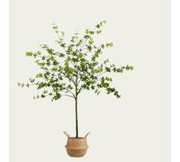 Artificial Olive Tree - Large Faux Plant for Indoor and Outdoor Decor, Perfect for Modern Office, Living Room, Patio, and Garden