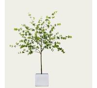 Artificial Olive Tree - Large Faux Plant for Indoor and Outdoor Decor, Perfect for Modern Office, Living Room, Patio, and Garden