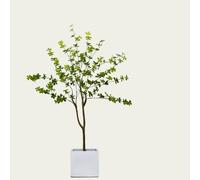 Artificial Olive Tree - Large Faux Plant for Indoor and Outdoor Decor, Perfect for Modern Office, Living Room, Patio, and Garden