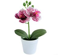 Artificial Orchid, 19cm Potted Plant, Miniature Butterfly Flower, Realistic Fake Bloom, Long-lasting Plastic Decor, Home Office Photography(Spotted Purple)
